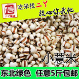 小粒绿色薏米薏仁东北农家优质薏仁米仁薏米薏苡仁红豆薏米粥250g