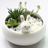 多肉萌物花器陶瓷小花盆创意可爱兔子办公室桌面摆件居家迷你盆