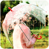 韩国创意透明雨伞折叠三折学生公主儿童拱形小清新樱花长柄伞女孩