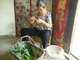 安庆桐城农家有机山芋爪（zhao）地瓜番薯叶 红薯藤杆子 山芋杆子