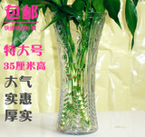 包邮/玻璃花瓶富贵竹花瓶特大号35cm落地客厅简约摆件水培插花器