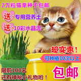 猫咪猫草种子包邮猫零食去除肠道毛球助消化小麦种子约2万粒包邮