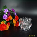 多肉玻璃瓶灯笼圆形 装饰花瓶 收纳瓶花插 透明花器玻璃器皿桌面
