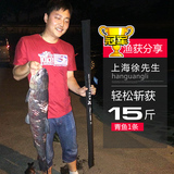 宝飞龙鱼竿台钓竿碳素超轻超硬调4.5 5.4米钓鱼竿鲤鱼竿手竿钓竿