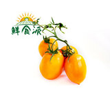 【鲜食派】新鲜蔬菜水果 黄圣女果农家黄千禧果沙拉有机黄小番茄