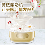 LIFE ELEMENT/生活元素SNJ-A20A1LE陶瓷8分杯酸奶机泡菜米酒机
