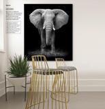 黑白大象经典动物摄影现代简约北欧创意客厅玄关走廊卧室装饰画
