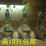 欧式悬挂灯泡花瓶水培玻璃容器 个性创意绿萝绿植吊瓶家居装饰