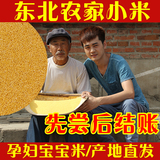 2015新米农家小米子有机月子米宝宝米黄小米粥米粗粮食小黄米500g