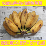 广西天然有机无污染野生现摘大芭蕉新鲜香蕉大蕉香甜好吃5斤包邮