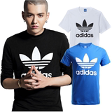 阿迪达斯三叶草Adidas16秋男子大Logo运动短袖T恤AJ8828 AJ8830
