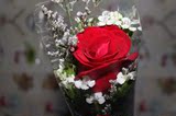 西安鲜花西安花店同城速递1朵红玫瑰单支（只）礼盒