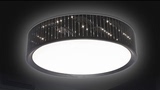新款现代简约圆形LED吸顶灯客厅灯创意艺术 竹子花纹餐厅灯卧室灯