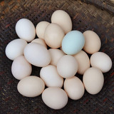 湖南土特产 农家散养 代购土鸡蛋 新鲜禽蛋 笨鸡蛋 草鸡蛋 喜蛋