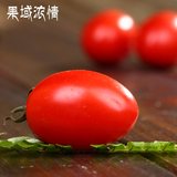 果域浓情2.5斤云南圣女果小番茄夏季新鲜水果樱桃绿色西红柿蔬果