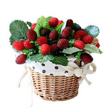 仿真植物浆果树莓zakka假花家居饰品客厅摆件塑料仿真花批发