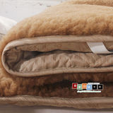 厚纯羊毛床垫圆床保暖学生床褥子可折叠垫被单双人正品特价清仓加