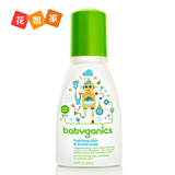 美国Babyganics甘尼克奶瓶清洗剂清洁液旅行便携装100ML