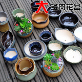 大号多肉植物花盆 韩国复古创意绿植盆栽花器 可爱陶瓷花盆批发