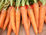 山东潍坊特产新鲜上市有机蔬菜农家胡萝嫩叶胡萝卜17省5斤包邮