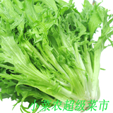 新鲜有机蔬菜 苦苣 苦菊 明目菜 九芽生菜 西餐 沙拉配菜500g