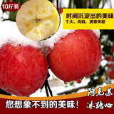 农家阿克苏冰糖心苹果10斤新鲜水果脆甜正宗新疆红旗坡苹果红富士