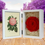 永生花礼盒进口红玫瑰相框玻璃送女友生日礼物父亲节玫瑰鲜花礼盒