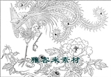 工笔画底稿中国吉祥图案白描线描中国画题材素材凤36