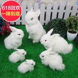 仿真兔摆件大白兔毛绒玩具模型儿童礼物可爱动物兔子标本软装饰品