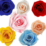 出口A级 保鲜花 玫瑰4-5厘米手工材料 花艺用品 花头 永生花