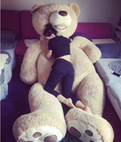 美国大熊超大号公仔毛绒玩具泰迪熊布娃娃抱抱熊狗熊生日礼物女生