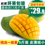越南青芒果5斤 进口新鲜水果 青皮芒果 热带水果 新鲜芒果包邮
