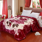 拉舍尔毛毯加厚双层单人双人盖毯学生宿舍绒毯床上用品保暖冬被子