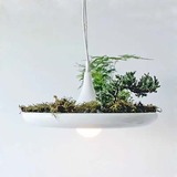 设计师铝材艺术吊灯美式乡村花园植物吊灯餐厅酒吧吧台楼道吊灯具