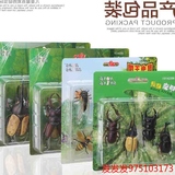 热卖儿童早教益智玩具 3d仿真昆虫玩具模型 甲虫动物塑胶模型昆虫