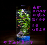 灯造景植物圆柱形玻璃瓶创意桌面水族生态斗鱼鱼缸 带灯微景观