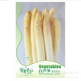 W 蔬菜种子 白芦笋 石刁柏 龙须菜 鲜美柔嫩可口 20粒/包