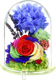 永生花礼盒厄瓜多尔巨型七彩玻璃玫瑰保鲜花玫瑰鲜花生日礼物