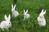 仿真动物兔子摆件家居花园庭院装饰品户外园林雕塑景观户外工艺品