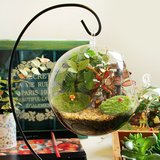 创意玻璃瓶生态瓶迷你办公桌室内趣味盆栽苔藓微景观植物DIY摆件