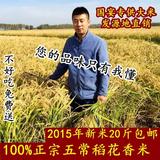 大米新米黑龙江农家自产东北正宗五常稻花香大米10kg包邮