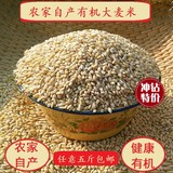 大麦米 大麦仁 大麦粒 自产有机大麦 杂粮粗粮 250g 可磨大麦粉