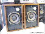 英国TANNOY 天朗 PRODUCTS 发烧古董监听音箱 十寸钢磁喇叭