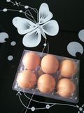 大中号6枚塑料蛋托洋鸡蛋透明包装盒鸭蛋吸塑盒松花蛋包装 批发
