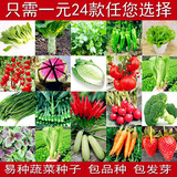 蔬菜种子套餐阳台盆栽菜种子菜籽家庭花卉菜种子春播易种四季播