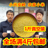 全场4斤包邮 五谷杂粮特产东北农家新小米黑龙江黄小米粥小黄米