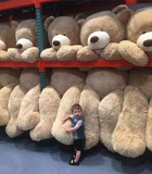 美国巨熊泰迪熊抱抱熊特号大熊张嘴熊毛绒玩具情人节圣诞生日礼物