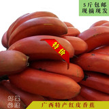 新鲜水果包邮红皮香蕉广西特产南方水果美人蕉 进口香蕉