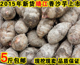 2015新鲜芋头 靖江正宗香沙芋头仔芋艿 农家自种新鲜现挖包邮