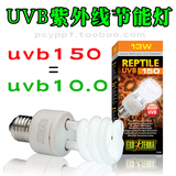 希瑾UVB10.0 13W陆龟蜥蜴爬虫箱紫外线节能灯多肉植物补光灯包邮